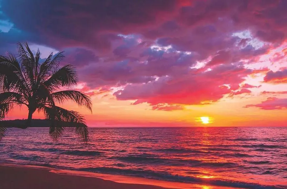 Maia Luxury Beach Hotel & Spa Гюзельчамли 4*,